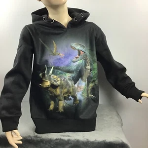 Dinosaurier Sweatshirt Hoodie Kinder schwarz 92,104,116,128,140,152 Junge Motiv - Bild 1 von 7