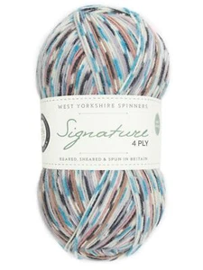 Wys Firma 4 Capa Ovillo de Lana 100g-1167 Jay - Imagen 1 de 2