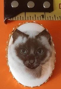 Vintage Oval-shaped Porcelain Cat Portrait Pin Brooch Framed In Goldtone EX Cond - Picture 1 of 4