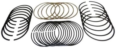Ford 6.4 Powerstroke Diesel V8 2008-10 Hastings Engine Piston Ring Set Size STD - Image 1 of 4