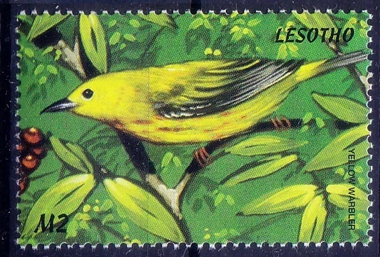 Curruca amarilla, Lesoto 1999 MNH, aves  Foto 1 de 1