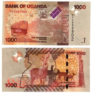 2021 Uganda 1000 Shillings Banknote p49f Latest Gold back issue - Picture 1 of 1