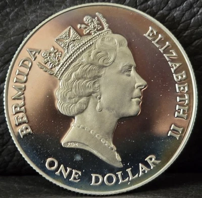 Bermudas 1997 prueba de dólar de plata - Fondo Mundial para la Naturaleza - camafeo profundo Foto 1 de 4