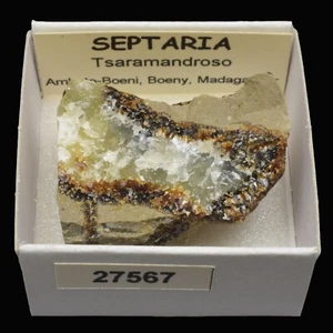 SEPTARIA (Tsaramandroso, Ambato-Boeni, Boeny, Madagascar) #27567 / Septarian - Bild 1 von 1