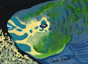 Pintura Original ACEO ATC Pez Loro Arte Vida Silvestre Marina -Carla Smale - Imagen 1 de 2