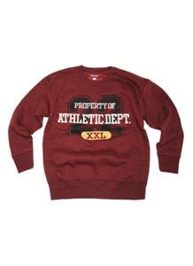 Hanes Boy's Soft Sweats Sweatshirt - Size XXL (18) NWT - Picture 1 of 1