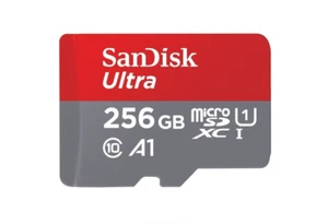 La carte microSD Sandisk Ultra 256 Go fonctionne avec Wyze Cam v3 Pro/Outdoor v2 Smart Cam - Photo 1 sur 4