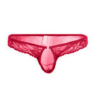  Lace Lingerie Mesh Underwear Semi Bikini See-through Men Floral Briefs 