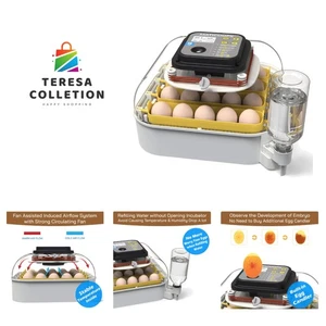 Incubadora de 20 huevos con pantalla de humedad, vela de huevos, girador automático de huevos, para... - Imagen 1 de 7
