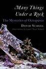 Many Things Under A Rock: The Mysteries Of Octopuses By Scheel, David, Hardcove
