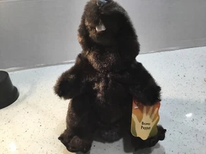 Folkmanis Beaver Full Body Hand Stage Puppet Movable Mouth 11” Tall Brown Plush - Picture 1 of 4