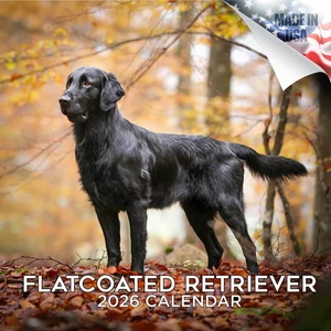FLATCOATED RETRIEVER Wall Calendar 2026 Animal DOG PET Lover Gift - Picture 1 of 2