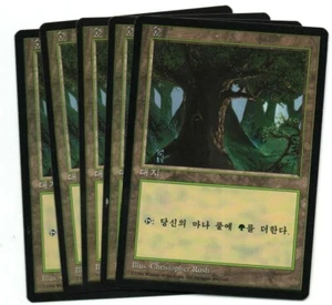Forest A x 5 MTG 4th FBB Christopher Rush KOREAN NM/NM- Flat rate shipping - Picture 1 of 1