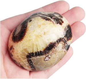 1Pcs Septarian Crystal Dragon Stone Healing Crystals Yoga Reiki Meditati - Picture 1 of 7