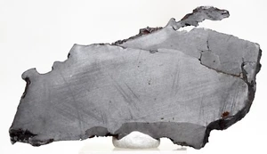 SIKHOTE-ALIN Iron Meteorite SLICE Specimen Witnessed Fall RUSSIA - Picture 1 of 5