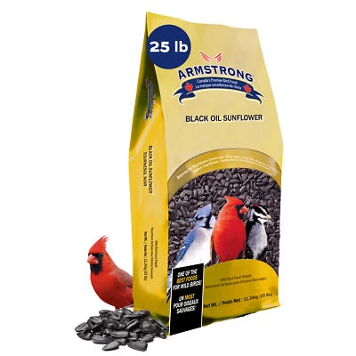 Armstrong Wild Bird Food Black Oil Sunflower Bird Seed, 25lbs