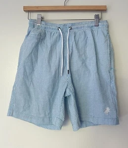 Trunk Surf & Swim Mens Turquoise White Seersucker Lined 6" Shorts Surf Flex - Picture 1 of 5