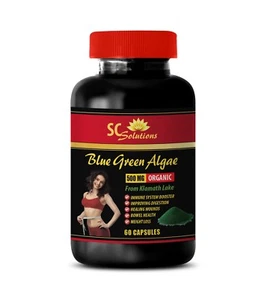 Refuerzo del sistema inmunológico - ALGAS VERDES AZULES 500MG 1B - Cápsulas de espirulina - Imagen 1 de 7