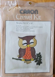 Kit Crewel Caron cuscino gufo addormentato 14" x 14" #6364 vintage 1977 - Foto 1 di 9