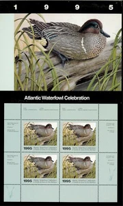 ATLANTIC WATERFOWL #1M 1995 GREEN WINGED TEAL CONSERVATION MINI SHEET IN FOLDER - Picture 1 of 1