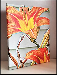 Wandbild Foto auf Leinwand modern Blume orange/gelb hellblau 11x14 - Bild 1 von 4