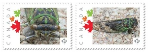 CICADA = Set of 2 Unique Picture Postage stamps MNH Canada 2017 [p17-04ci2] - Picture 1 of 2