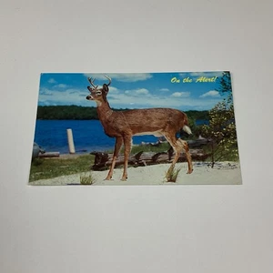 On the Alert Buck Deer Lithograph Postcard St. Faustin Quebec - Picture 1 of 2