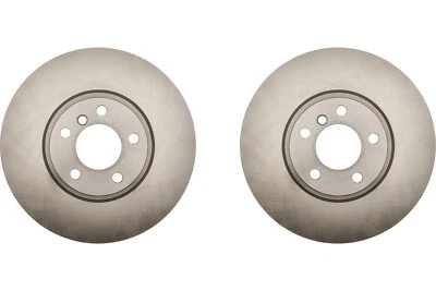 Par delantero de rotor de freno de disco Raybestos para BMW X6 2008-2010 (60299) Foto 1 de 4