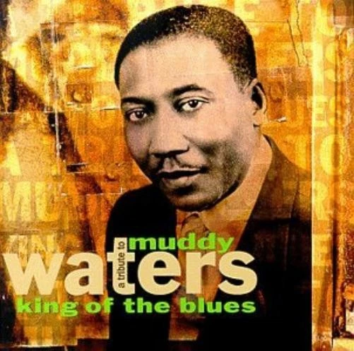 Various Artists Tribute to Muddy Waters: King of Blues (CD) (US IMPORT) - Image 1 of 1