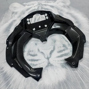 For Kawasaki ZX4R ZX4RR 23-24 Carbon Fiber Dashboard Cover Glossy Accessories - Bild 1 von 4