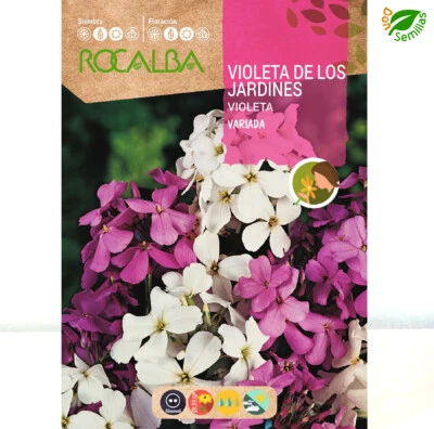 ROCALBA Violeta de los Jardines Juliana (Hesperis matronalis) 6 g / 3300 semillas flores