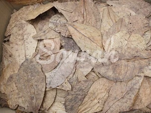 450g Broken Pcs Indian Almond Leaves,Catappa for Shrimp,Betta Fish&Aquarium Care - Picture 1 of 3