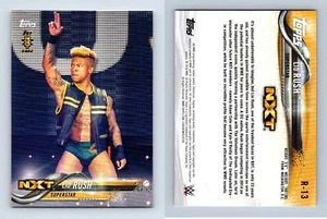Lio Rush #R-13 WWE 2018 Topps Roster Update Trading Card - Picture 1 of 1