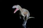 PNSO 75 Saurophaganax Donald Model Prehistoric Animal Dinosaur Collection Decor