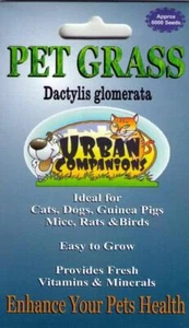 2 CAT GRASS - PET GRASS Packets with Approx. 12,000 seeds in total! - Picture 1 of 1