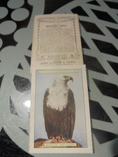 PLAYERS ''NATURAL HISTORY [ 2ND SERIES] 1924'' VG FULL SET/12 OF XL CARDS