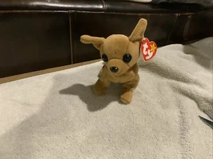 Tiny the chihuahua beanie baby with errors. Rare - Picture 1 of 4