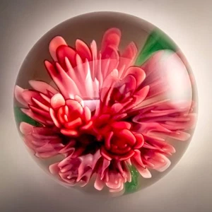 Glas Briefbeschwerer ummantelt rosa Blume 3" 695g Kunstglaskugel - Bild 1 von 10