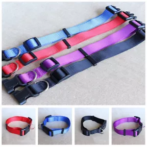 Dog Buckle Collar Pet Nylon Adjustable Cat Safety Supplies Soft Collars S-XL​ - Picture 1 of 13