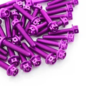 Aprilia SXV 450 STREET 09-11 Aluminium Race Drilled Hex Engine Kit Violet - Picture 1 of 1