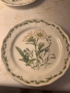Noritake Gourmet Garden Salad Plate (NEW) - Picture 1 of 2