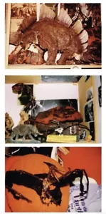 KING KONG 1933 F J ACKERMAN 3-PHOTO LOT DINOSAURS DISPLAY MODELS STEGOSAURUS ++ - Picture 1 of 1