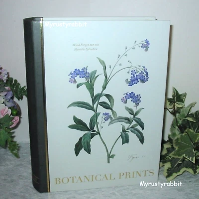 Caja de libros de recuerdo de almacenamiento de impresión botánica Punch Studio - No me olvides 11" Foto 1 de 4