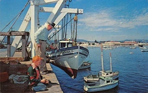 Fishing on Municipal Wharf SANTA CRUZ Casino & Beach c1950s Vintage Postcard - Picture 1 of 2