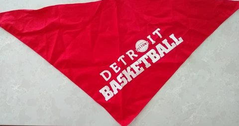 DETROIT PISTONS BANDANA RALLY FLAG, Dog/Cat Bandana Cover