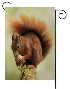 Ardilla con Nuez Bandera Jardín ~ Doble Cara * Calidad Superior - Imagen 1 de 1