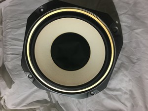 fisher 12 inch speakers