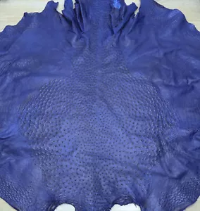 Ostrich skin Leather in Mod Blue C C Finish - Picture 1 of 4