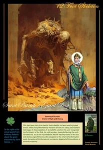 St. Patrick Poster 1/12 Fuß Riese - Bild 1 von 1