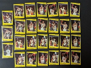 Indiana Pacers 1993-1994 Panini NBA Sticker Pacers Lote - 27 pegatinas - Imagen 1 de 6